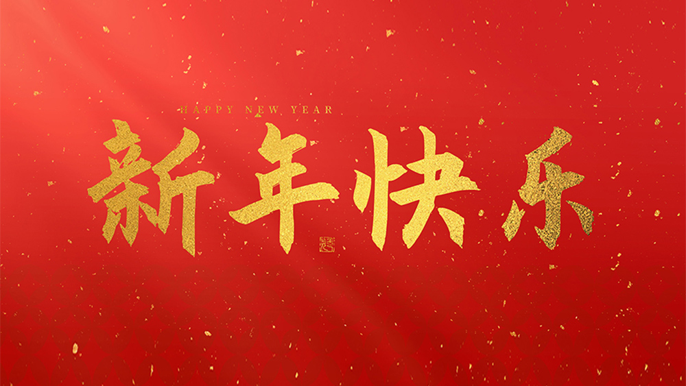 麗水市威儀自動化技術(shù)有限公司祝全國人民2025新年快樂！
